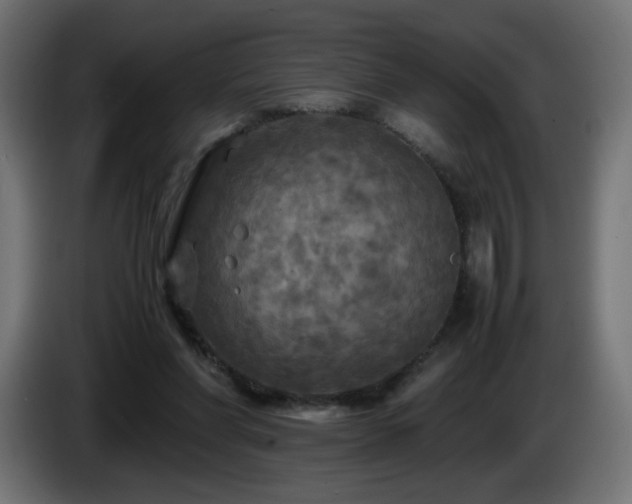 X0000087010206200704161548