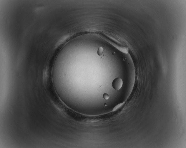 X0000087010208200704161548