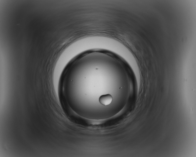 X0000087010211200704161547