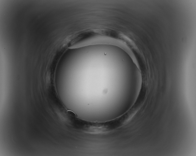 X0000087010213200704161547