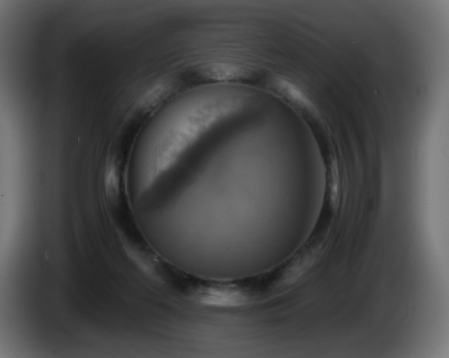 X0000087010214200704161547