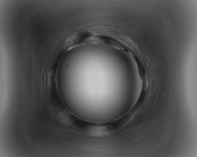 X0000087010217200704161547