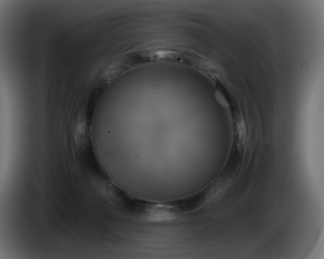 X0000087010222200704161547