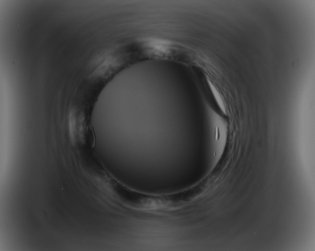 X0000087010223200704161547