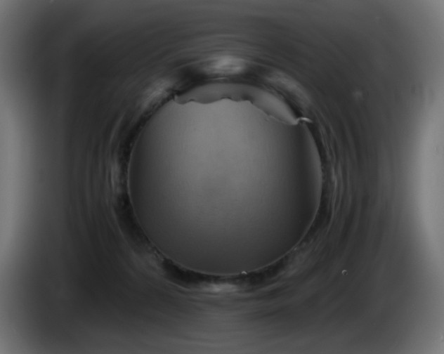 X0000087010224200704161547