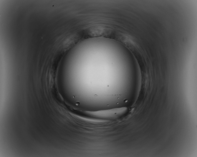 X0000087010226200704161547