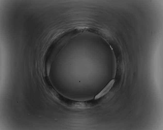 X0000087010227200704161547