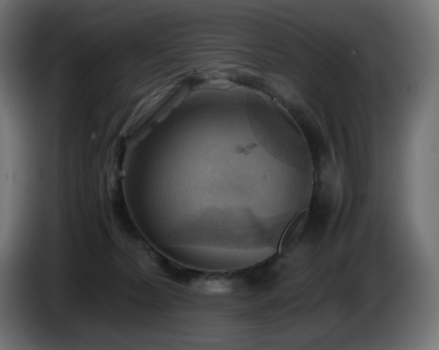 X0000087010228200704161547