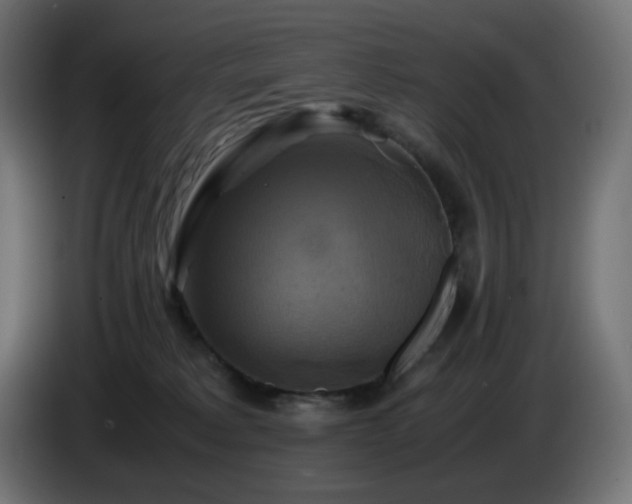 X0000087010229200704161547
