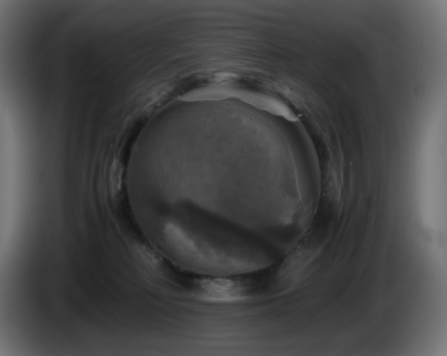 X0000087010230200704161547