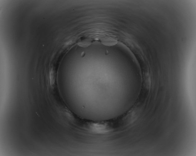 X0000087010232200704161547