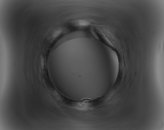 X0000087010233200704161547