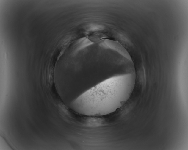 X0000087010234200704161547