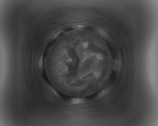 X0000087010238200704161547