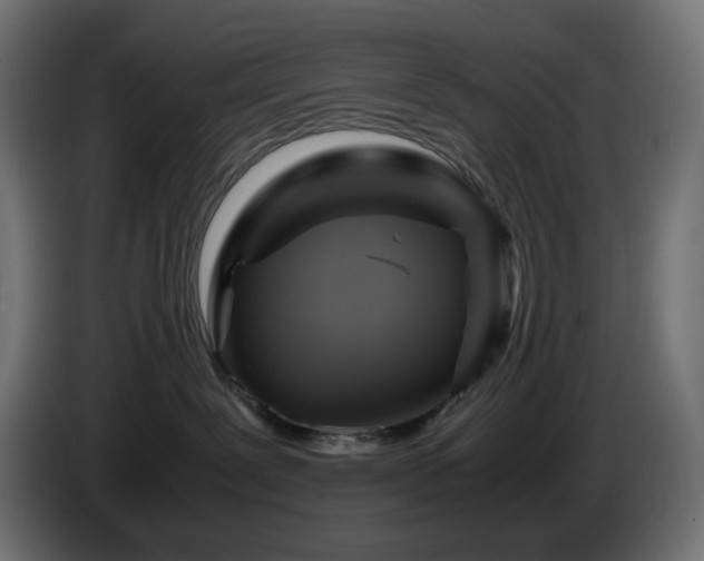 X0000087010239200704161547