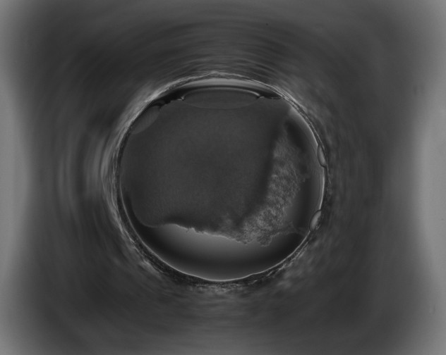 X0000087010241200704161547