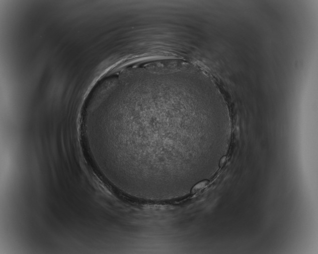 X0000087010242200704161547