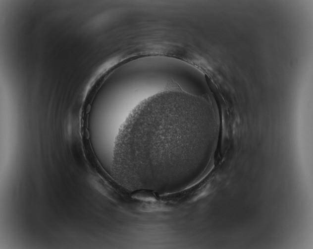 X0000087010244200704161547
