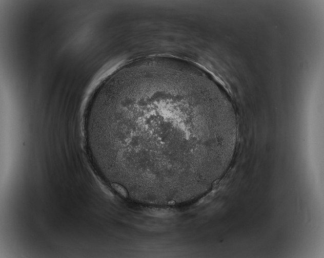 X0000087010245200704161547