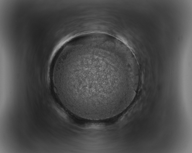 X0000087010248200704161547