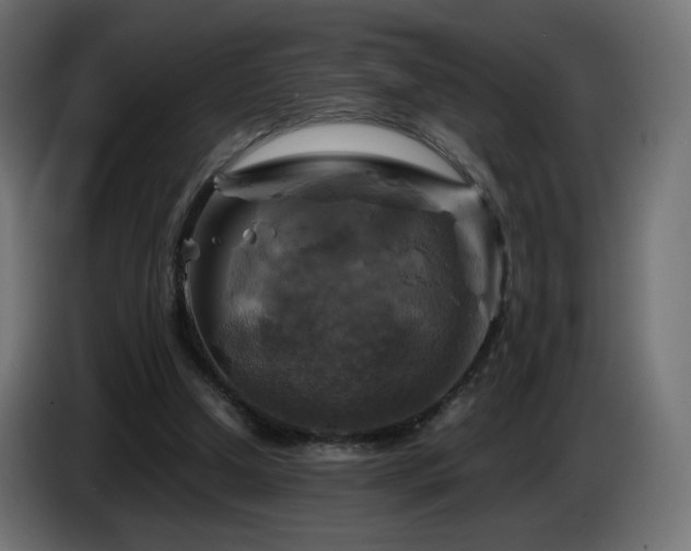 X0000087010250200704161547
