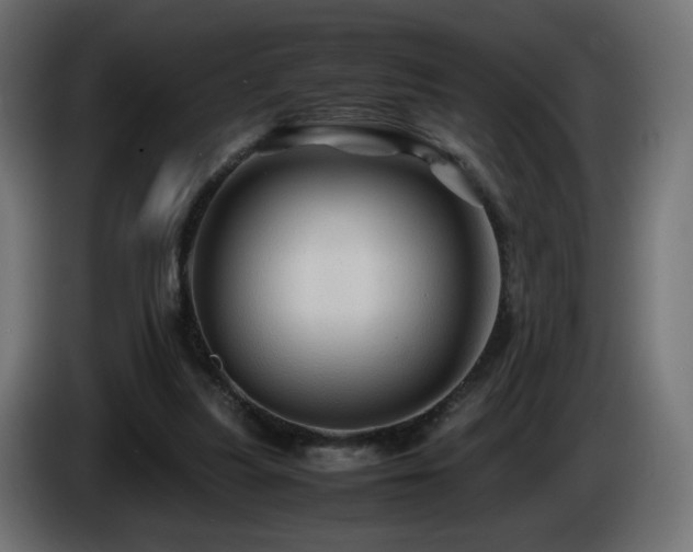 X0000087010251200704161547