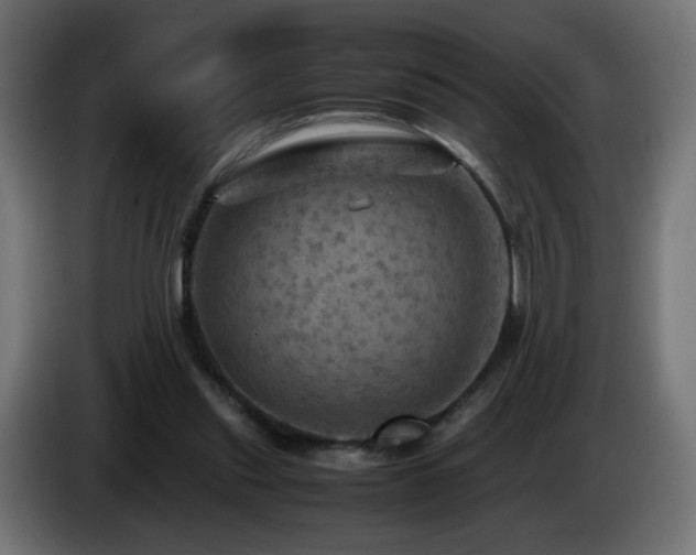 X0000087010253200704161547