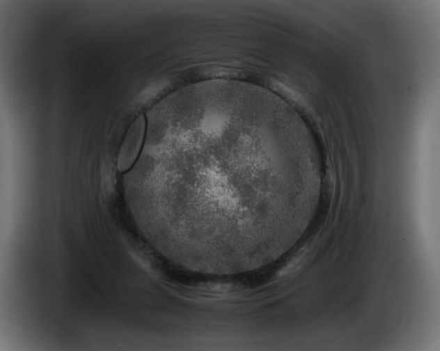 X0000087010255200704161547