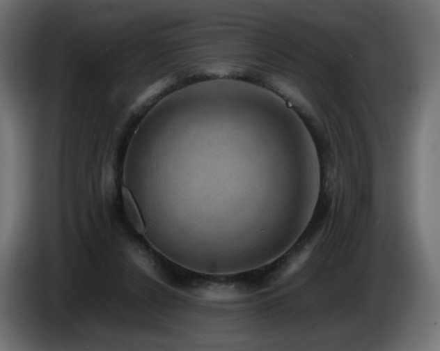 X0000087010256200704161547