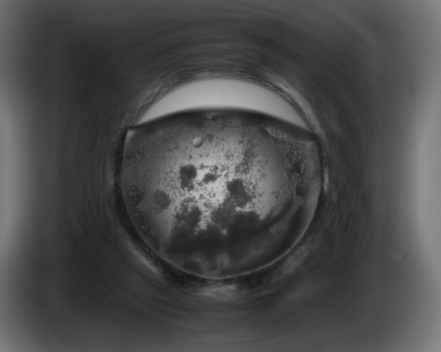 X0000087010257200704161547