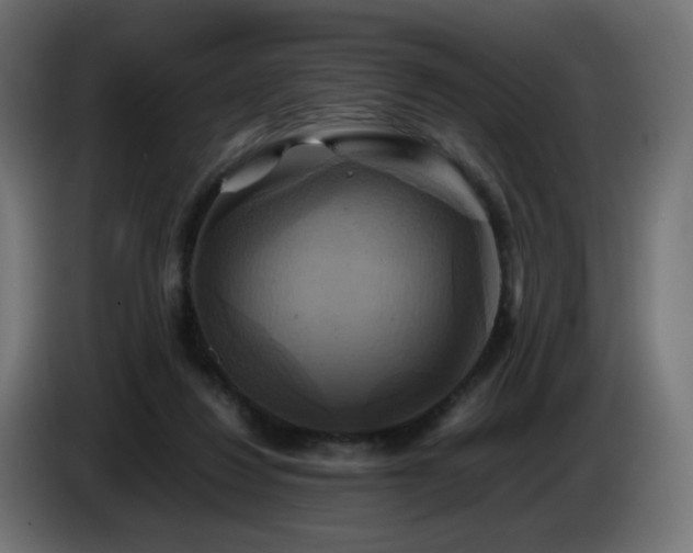 X0000087010260200704161547