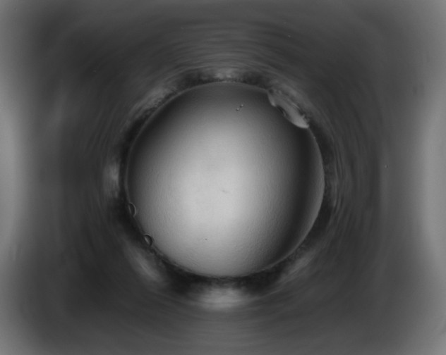 X0000087010262200704161547