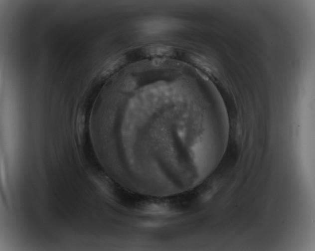 X0000087010263200704161547