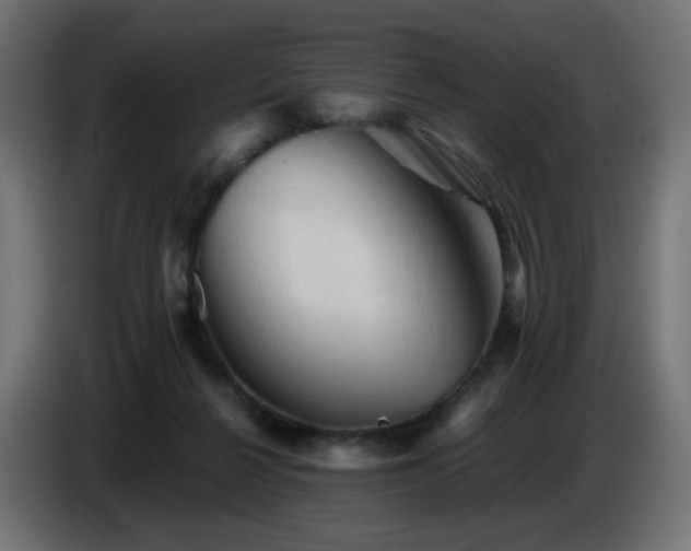 X0000087010264200704161547