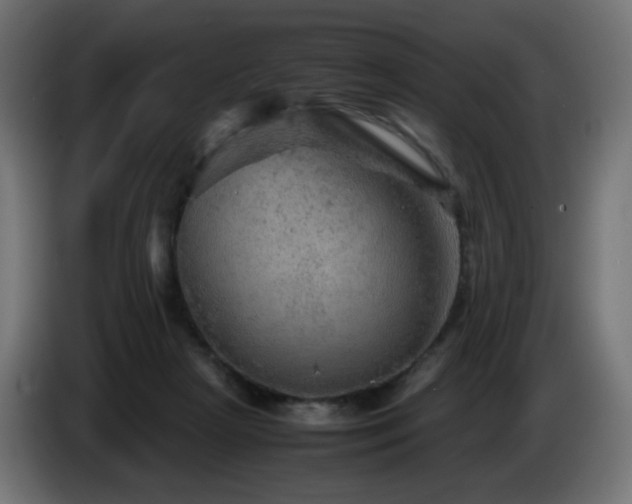 X0000087010265200704161547