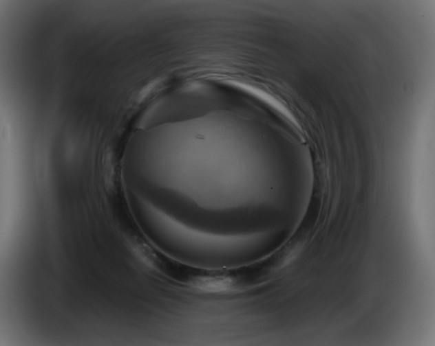 X0000087010266200704161547