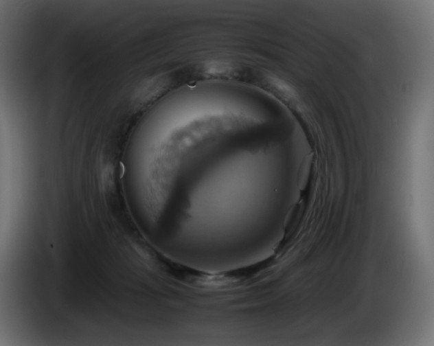 X0000087010269200704161547