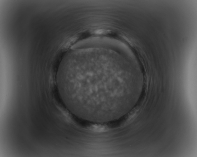 X0000087010272200704161547
