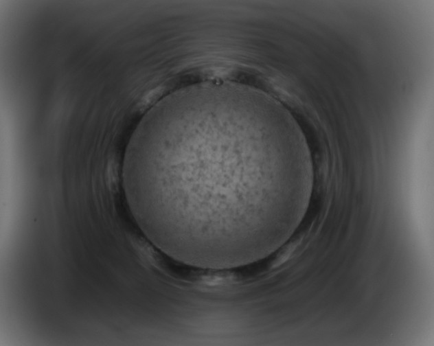 X0000087010274200704161547