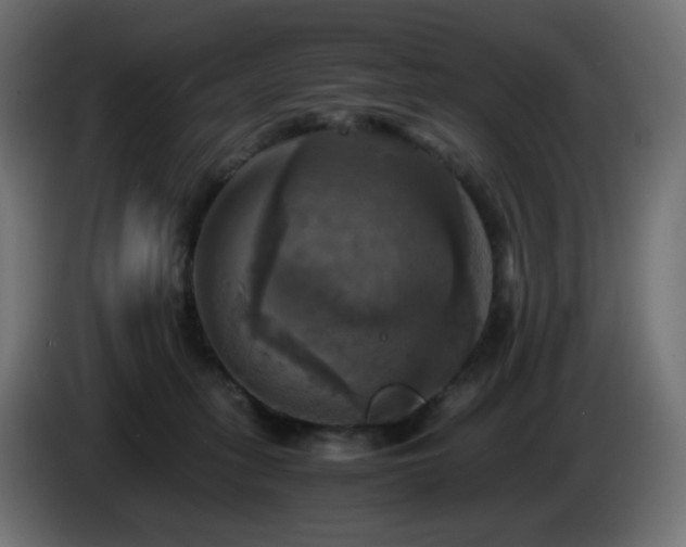X0000087010275200704161547