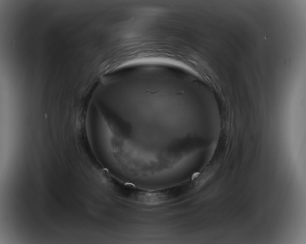 X0000087010277200704161547