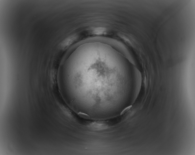 X0000087010280200704161547