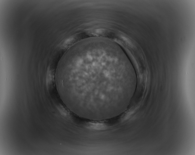 X0000087010284200704161547
