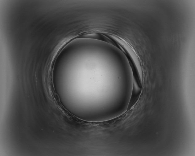 X0000087010289200704161547