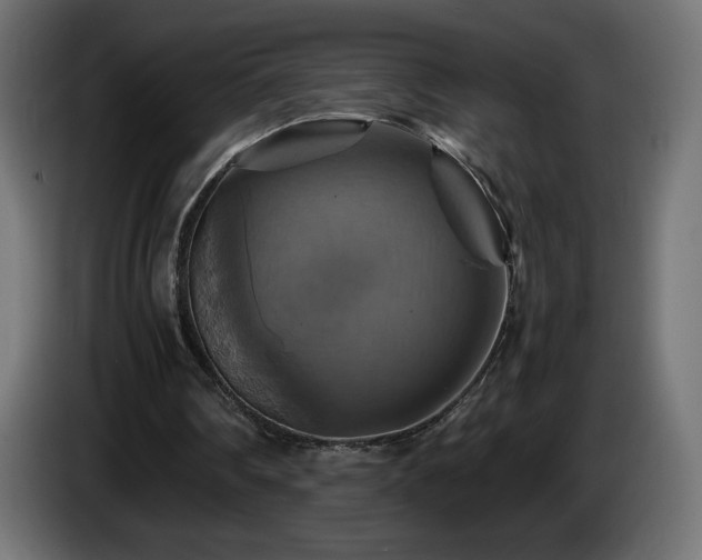 X0000087010290200704161547