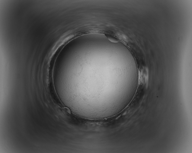 X0000087010291200704161547