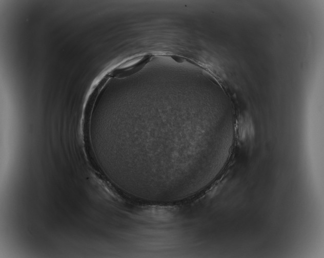 X0000087010292200704161547