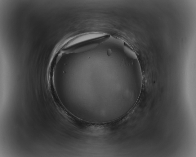 X0000087010294200704161547