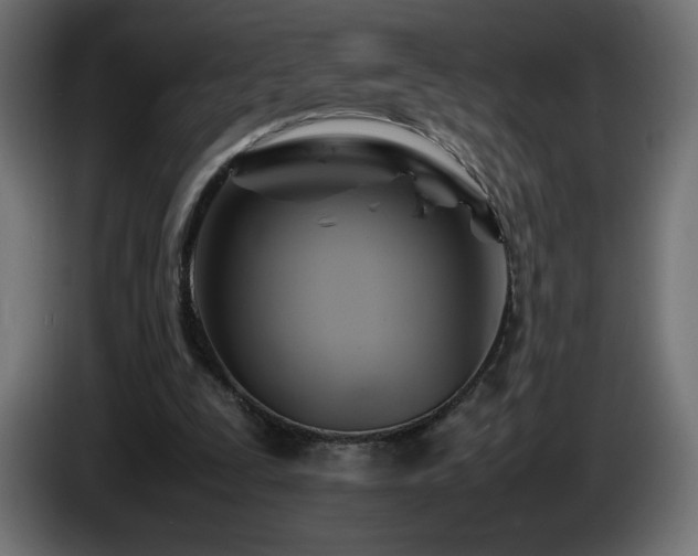 X0000087010295200704161547