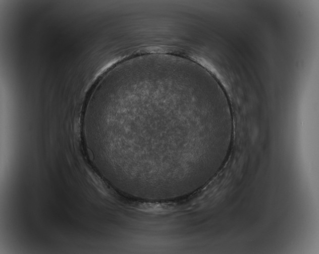 X0000087010297200704161547